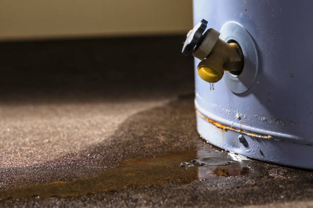 Water damage restoration insurance claims in MN