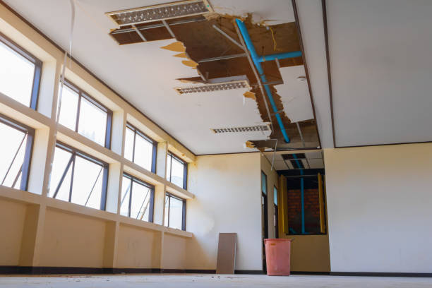 Best 24/7 water damage repair  in Brooklyn Park, MN