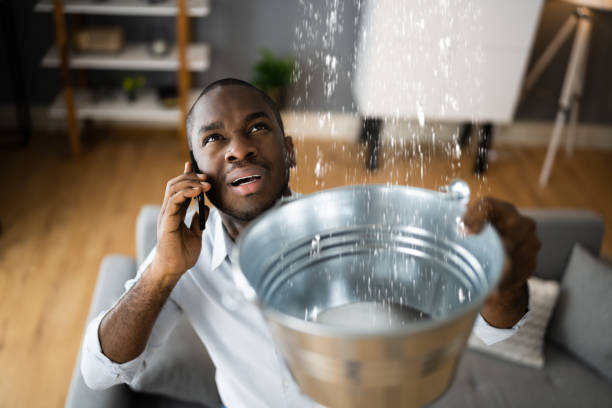 Best Sewage cleanup and water damage restoration  in Brooklyn Park, MN