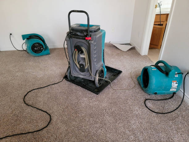 Best Flooded house restoration  in Brooklyn Park, MN
