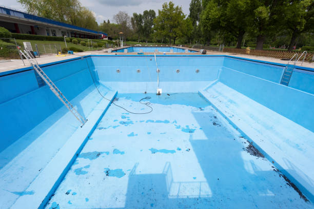 Best Professional water damage repair  in Brooklyn Park, MN