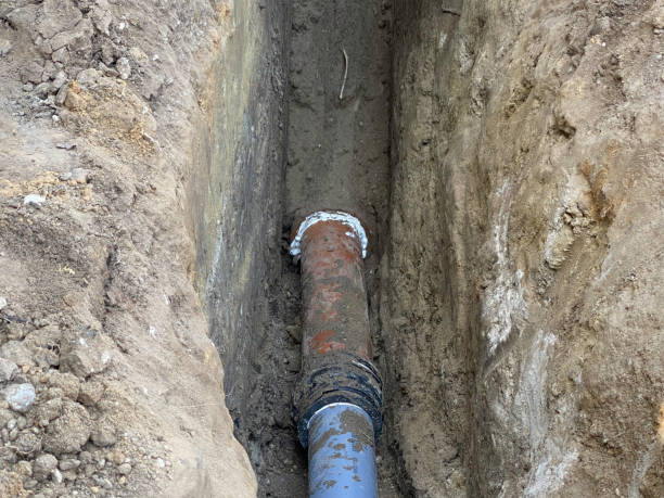 Best Local water damage restoration  in Brooklyn Park, MN
