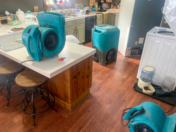 Best 24-hour water damage restoration  in Brooklyn Park, MN