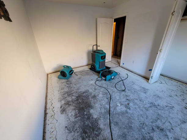 Best Emergency water damage restoration  in Brooklyn Park, MN