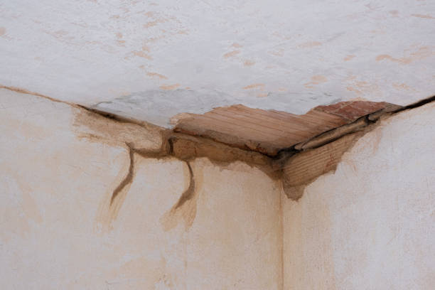 Best Ceiling water damage repair  in Brooklyn Park, MN