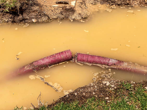 Best Water damage restoration near me  in Brooklyn Park, MN