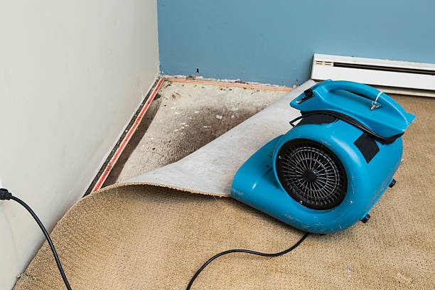 Reliable MN Water damage restoration Solutions